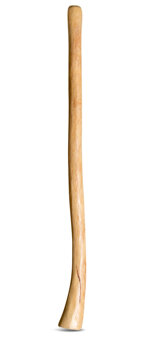 Medium Size Natural Finish Didgeridoo (TW599)